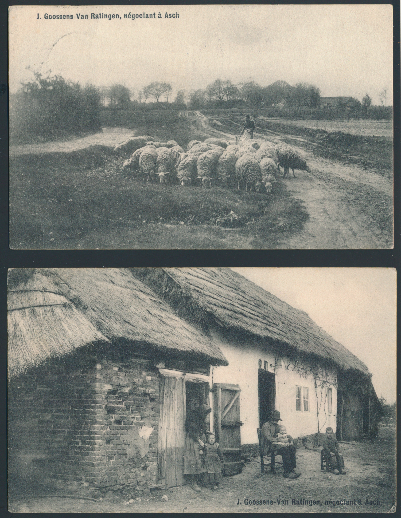 Lot 152 - belgië Provincie Antwerpen Diverse plaatsen - Van Looy & Van Looy Sale #176 , Special Classic Europe Lot 152 - belgië Provincie Antwerpen Diverse plaatsen - Van Looy & Van Looy Sale #176 , Special Classic Europe