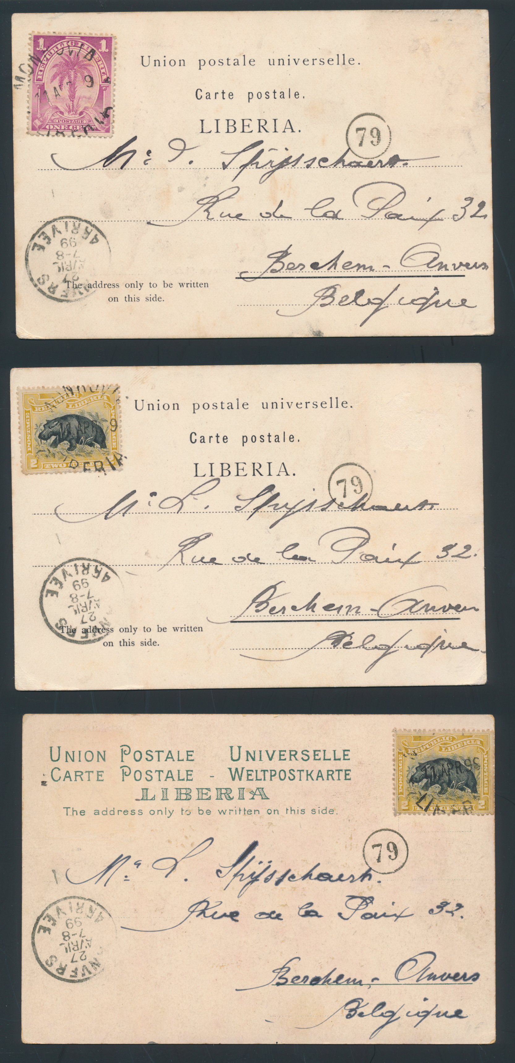 Lot 4427 - Franse Gebieden Congo Fr. - Van Looy & Van Looy Sale #176 , Special Classic Europe Lot 4427 - Franse Gebieden Congo Fr. - Van Looy & Van Looy Sale #176 , Special Classic Europe